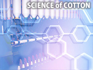 SCIENCE of COTTON